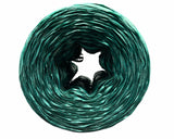 Stock Nastro Rafia Verde Scuro 200mt 5mm