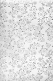 Carta Velina Bianca Spirali Argento fogli cm 70x100