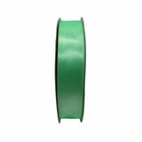 Nastro Doppio Raso Satin Verde Chiaro 25mm