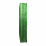 Nastro Decorativo 100mt 19mm Verde