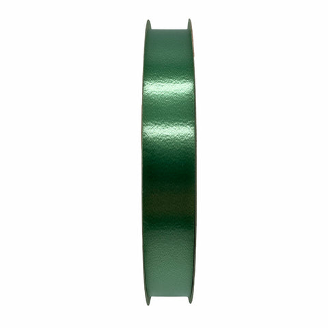 Nastro Classico Verde Secco 100mt 19mm