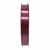 Nastro Classico Vinaccia 100mt 19mm